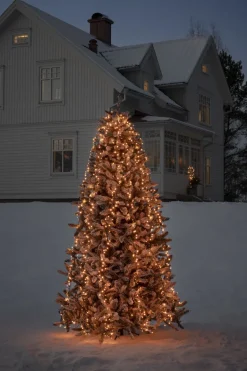 Joulukuusen valosarja