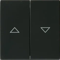 Kaksipainikkeinen kytkin