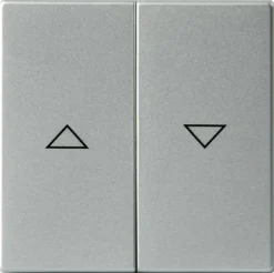 Kaksipainikkeinen kytkin