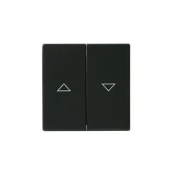 Kaksipainikkeinen kytkin