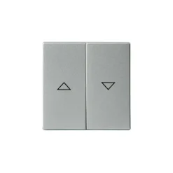 Kaksipainikkeinen kytkin