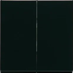 Kaksipainikkeinen kytkin