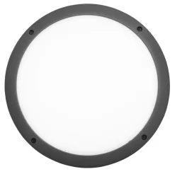 Seinä- ja kattovalaisin