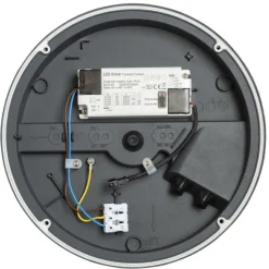 Seinä- ja kattovalaisin