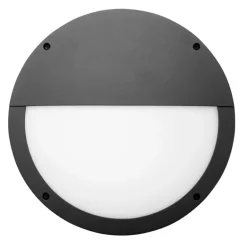 Seinä- ja kattovalaisin