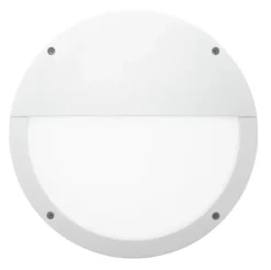 Seinä-/kattovalaisin