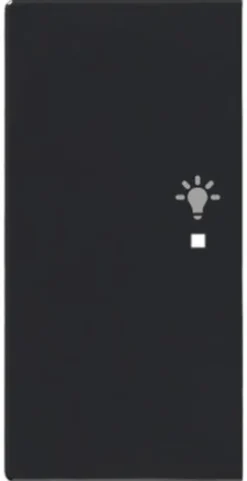 Yksiosainen vipupainike