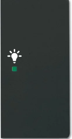 Yksiosainen vipupainike