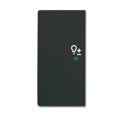 Yksiosainen vipupainike