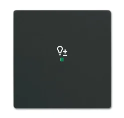 Yksiosainen vipupainike