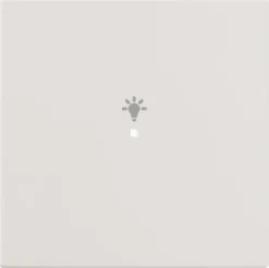 Yksiosainen vipupainike